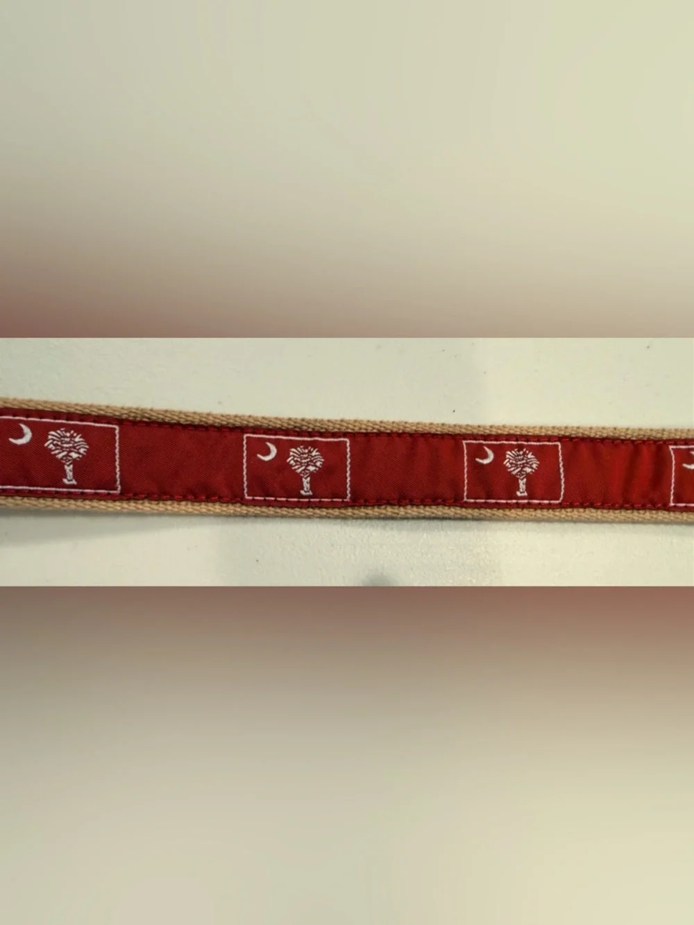 Leather Man Ltd. | boy’s South Carolina webbed flag belt. Size: 20